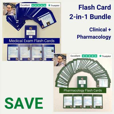 Flash Card 2-in-1 Bundle