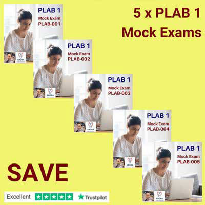 PLAB 1 '5-in-1' Mock Bundle